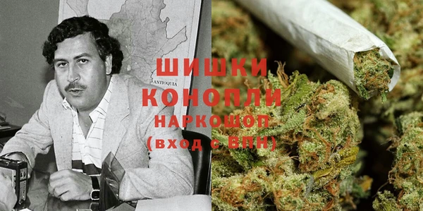 прущие грибы Белокуриха