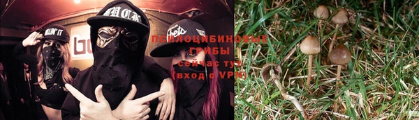MDMA Premium VHQ Фёдоровский